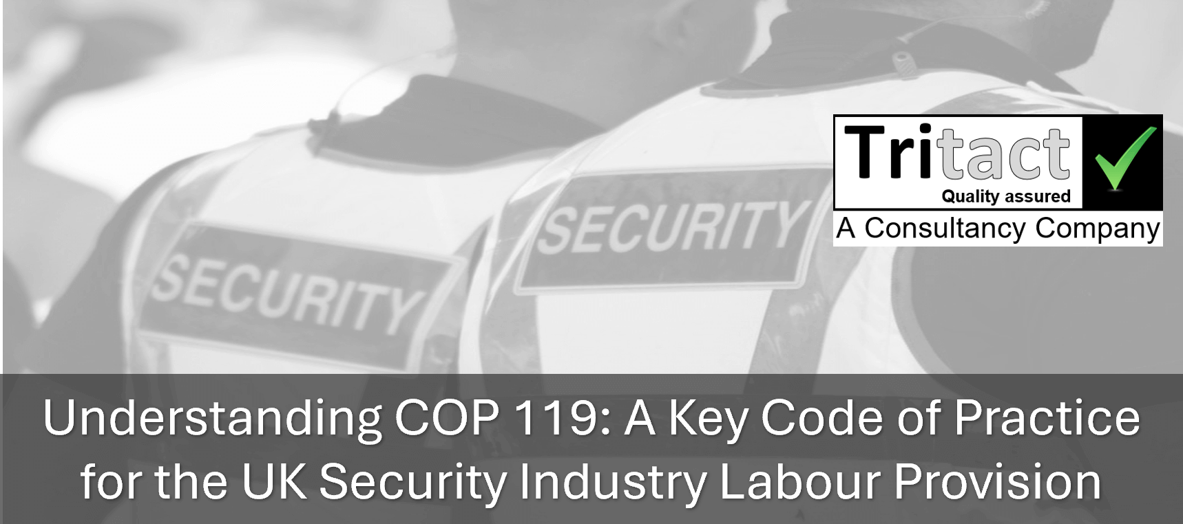 Understanding COP 119: A Key Code of Practice for the UK Security Industry Labour Provision