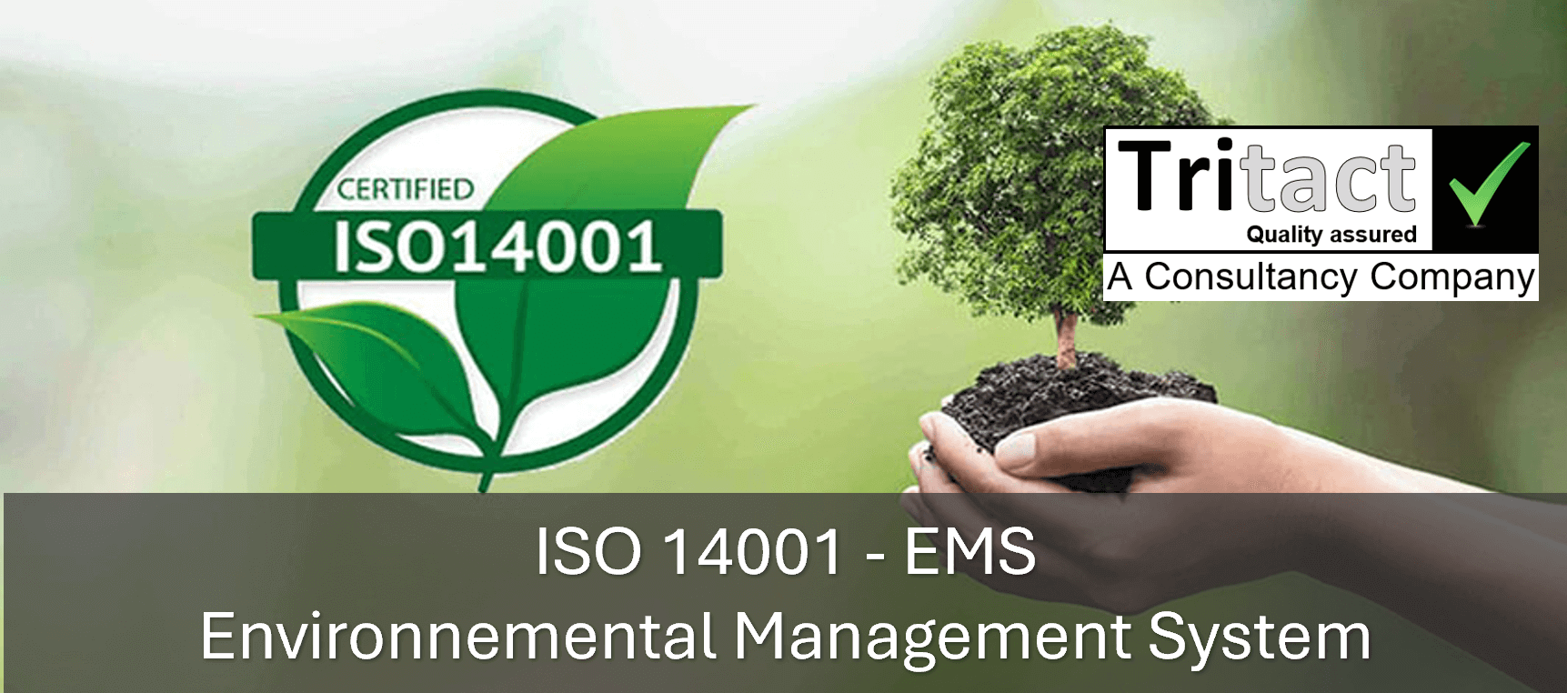 ISO 14001 Environmental Management System | Tritact Consulting Company