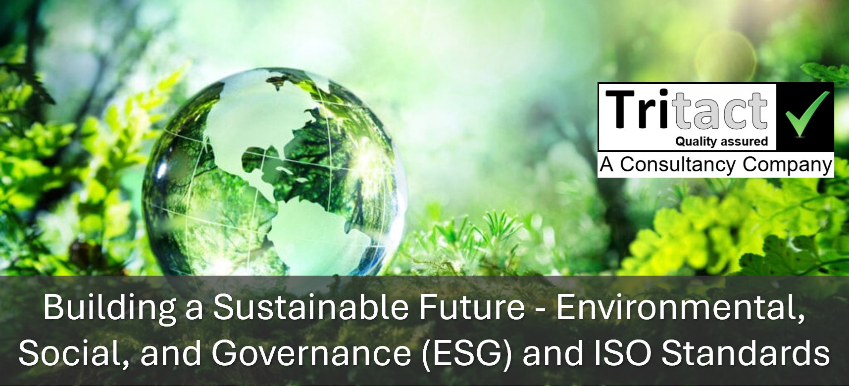 Building a Sustainable Future - Environmental, Social, and Governance (ESG) and ISO Standard